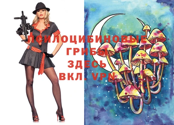 спайс Кулебаки