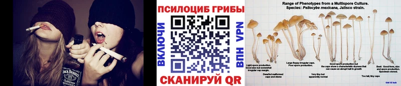 Галлюциногенные грибы прущие грибы Новая Усмань