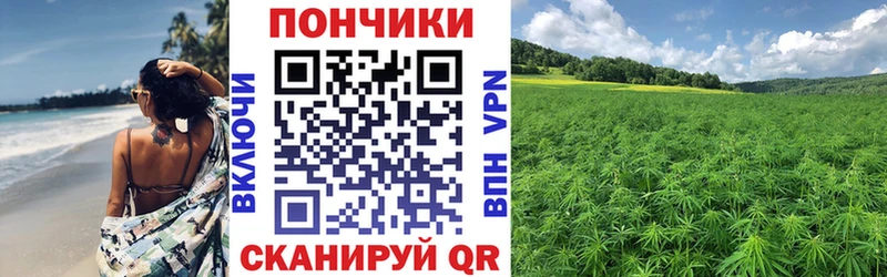 Марихуана SATIVA & INDICA  блэк спрут tor  Новая Усмань 